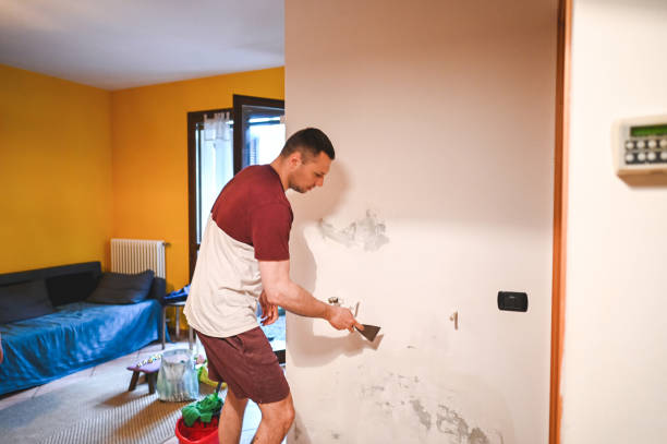 Best Crawl Space Mold Remediation in Richnd Heights, MO
